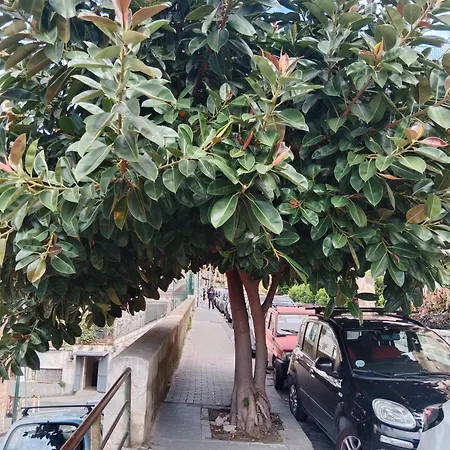 Privat bolig La Casa Del Sole *