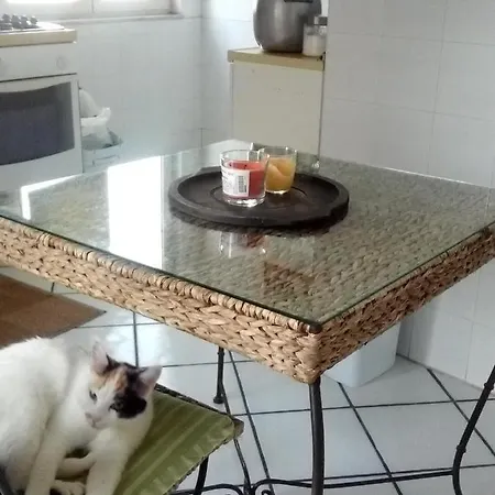 Privatunterkunft La Casa Del Sole Neapel